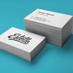 Portfolio Item 1