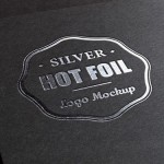 Portfolio Item 3