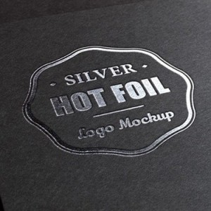 Portfolio Item 3