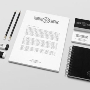 Portfolio Item 4